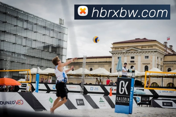 奖项证书